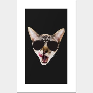 cool cat with glasses Posters and Art